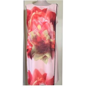 Frank Lyman Peach Sheath Dress Size 14